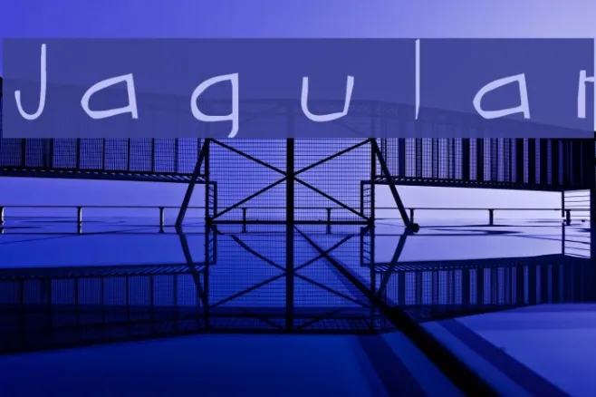 Jagular Example 2