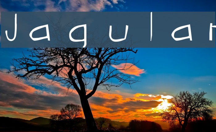 Jagular Font examples