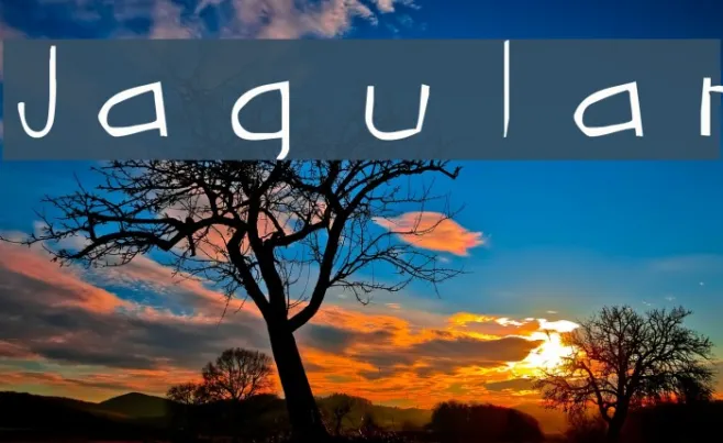 Jagular Example 3