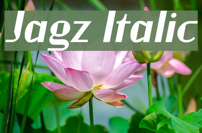Jagz Italic Font examples
