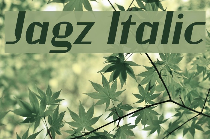 Jagz Italic Font examples