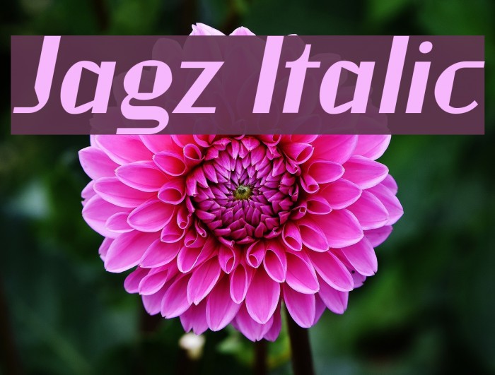 Jagz Italic Font examples