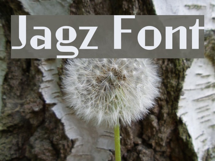 Jagz Font examples
