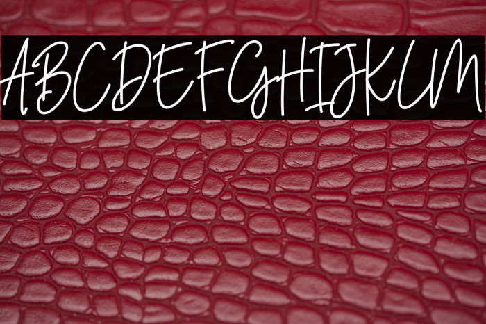 JahannamBalla Example 1