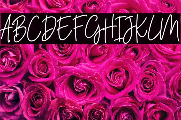 JahannamBalla Example 2