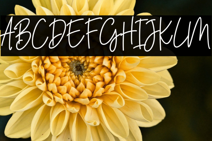 JahannamBalla Example 1