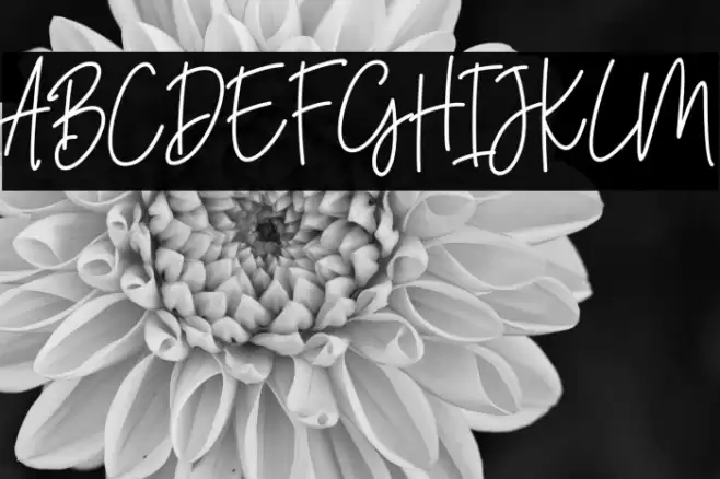 JahannamBalla Font examples