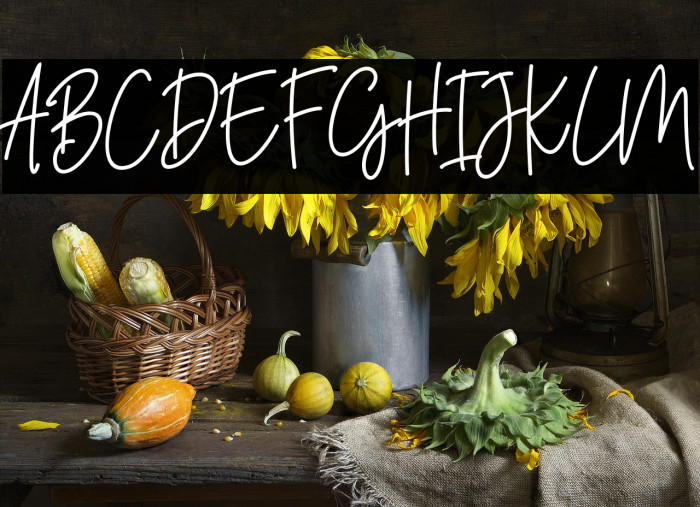 JahannamBalla Example 3