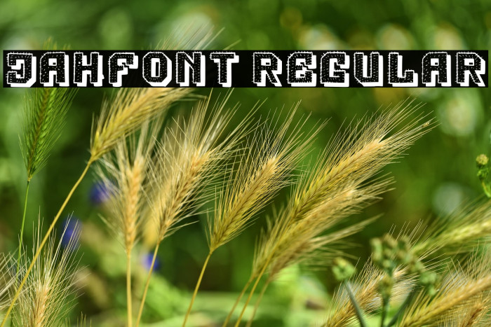 Jahfont Regular Example 3