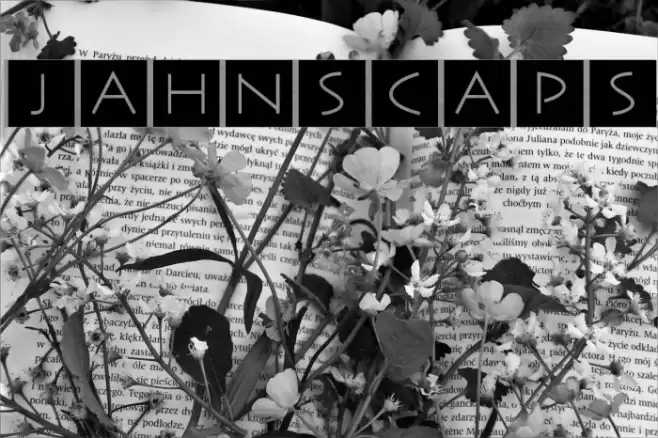 JahnsCaps Font examples