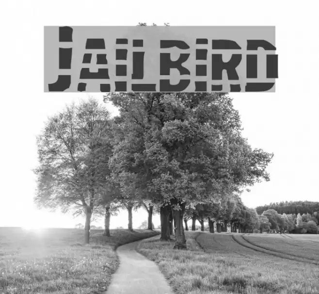 Jailbird Font examples