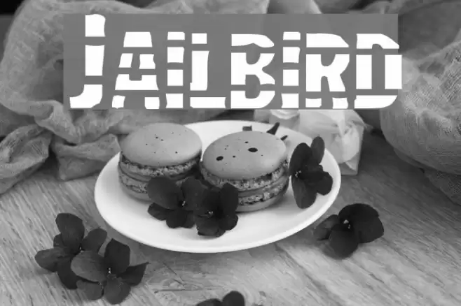 Jailbird Font examples