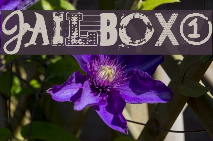 Jailbox1 Font examples