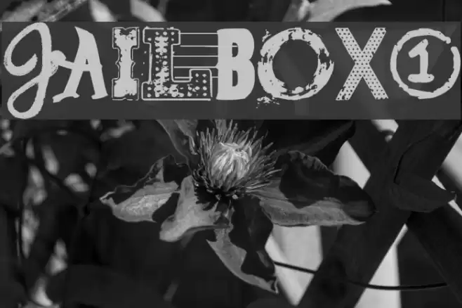 Jailbox1 Fonte examples