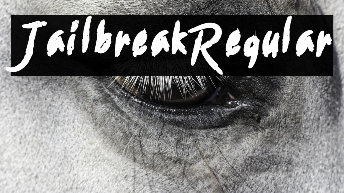 Jailbreak-Regular Example 1