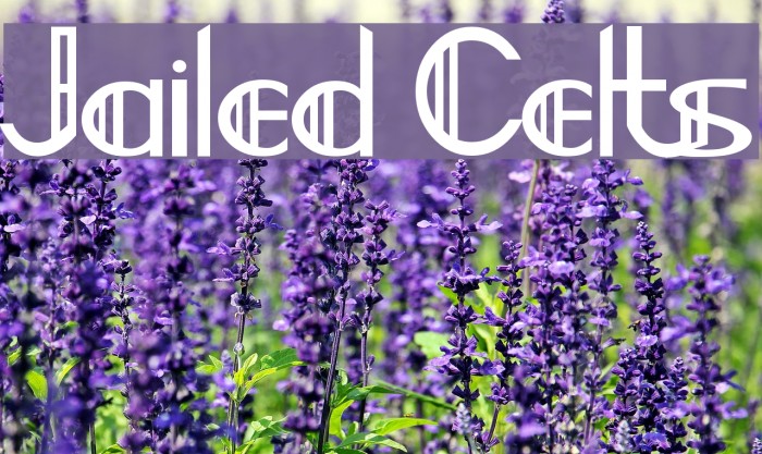 Jailed Celts Example 1