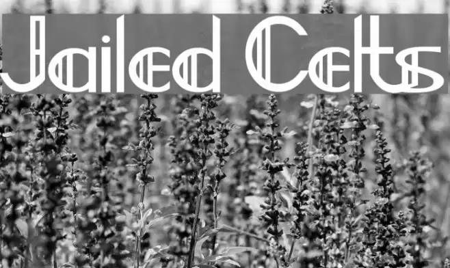 Jailed Celts Font examples