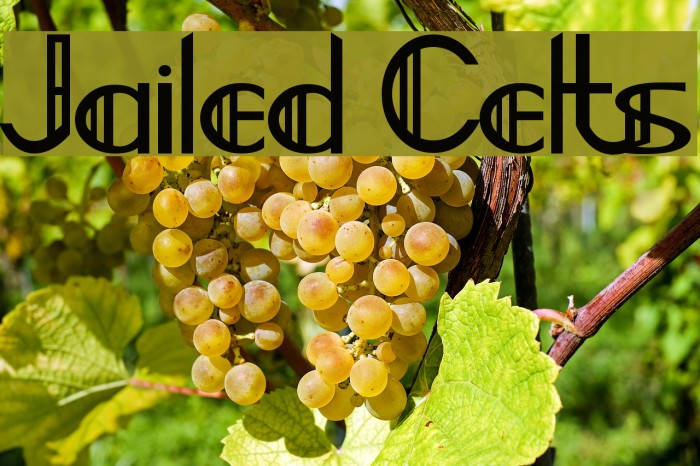 Jailed Celts Example 2