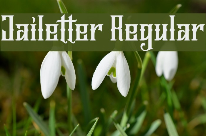 Jailetter Regular Example 3