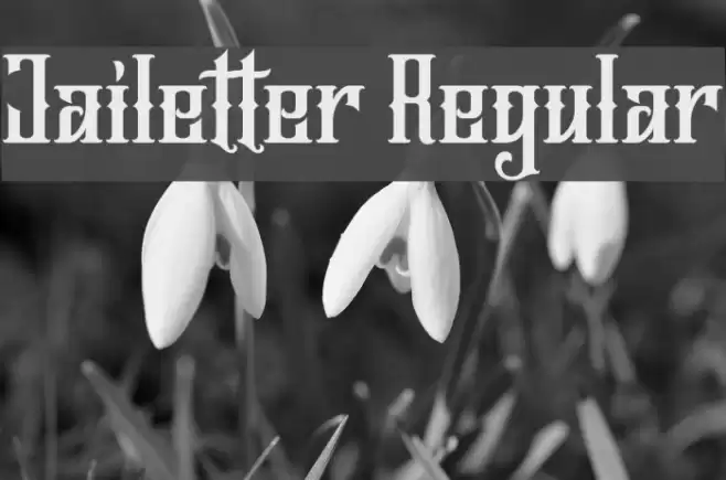 Jailetter Regular Font examples