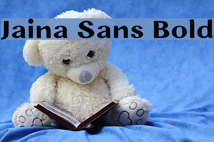 Jaina Sans Bold Example 1