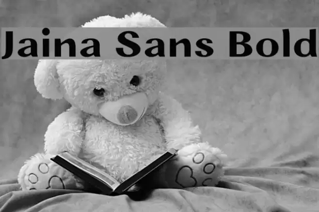 Jaina Sans Bold Font examples