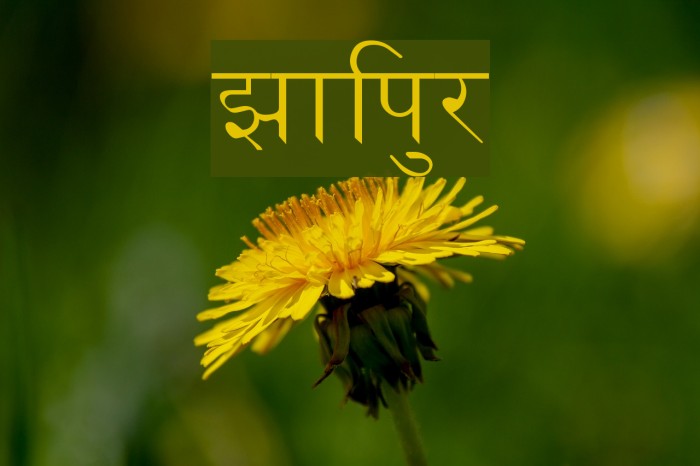 Jaipur Font examples