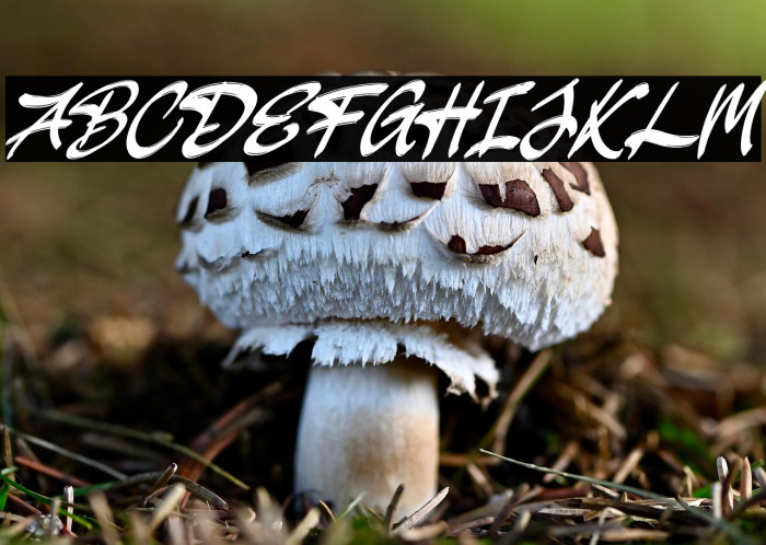 JakAs Italic Example 2