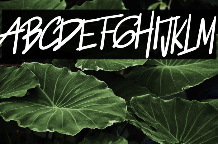 Jakarta Handwritten Example 1