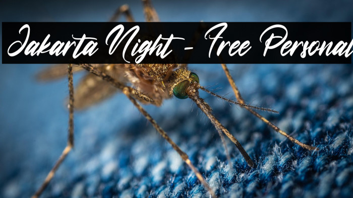 Jakarta Night - Free Personal Example 1