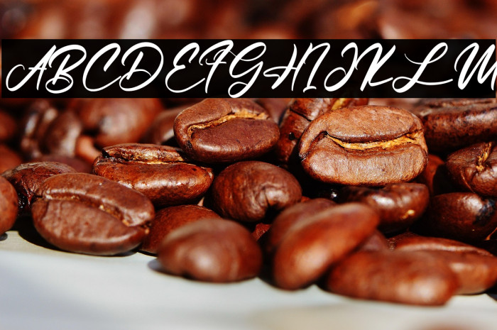 Jakarta Night Example 1