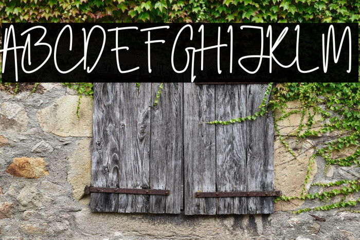 Jakarta Vise Example 1