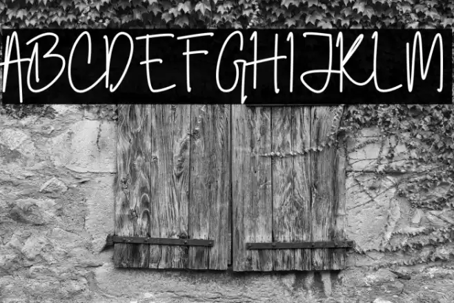 Jakarta Vise Font examples