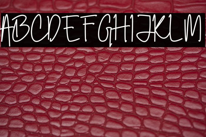 Jakarta Vise Example 2