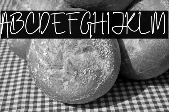 Jakarta Vise Font examples