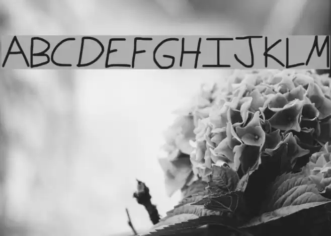 Jake Bitch Dude Font examples