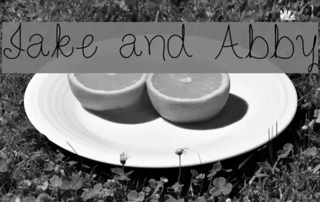 Jake and Abby Font examples