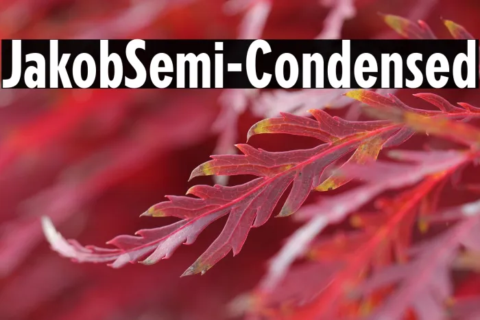 Jakob Semi-Condensed Example 2