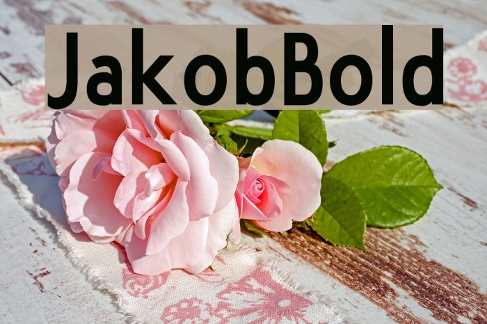 JakobBold Polices examples