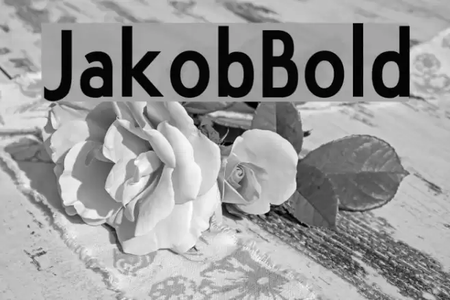JakobBold Шрифта examples