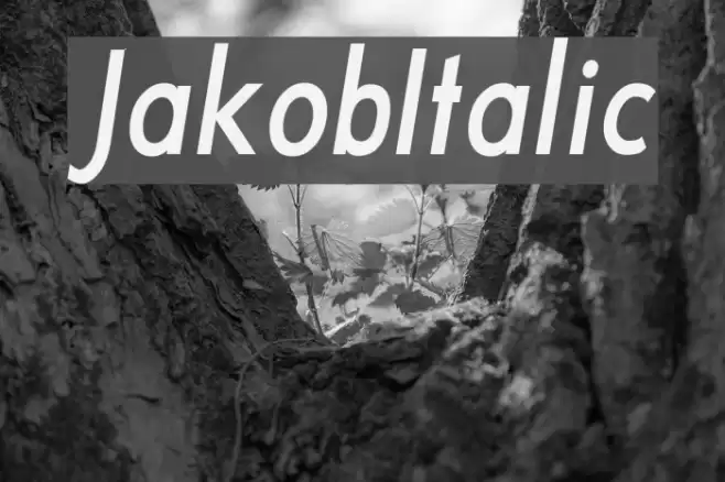 JakobItalic Fonte examples