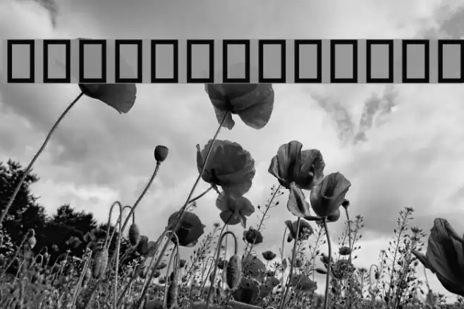 Jalaal Font examples