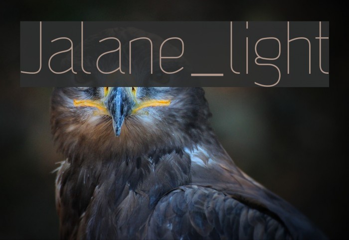 Jalane_light Font examples