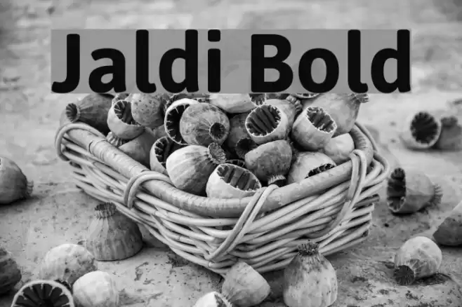 Jaldi Bold Font examples