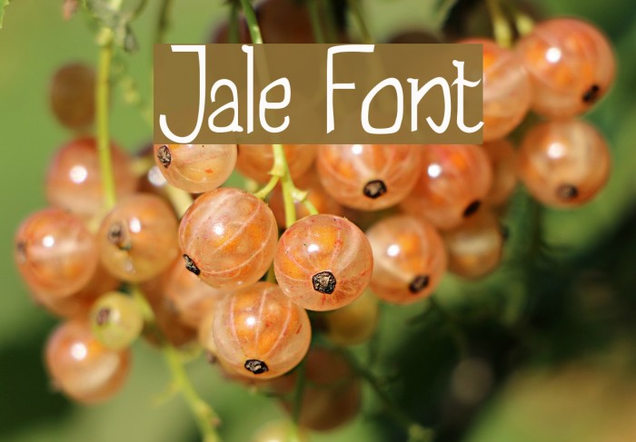 Jale Font examples