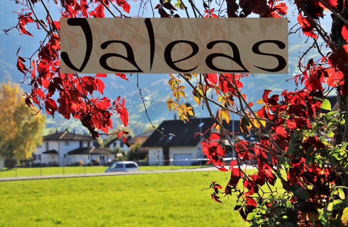 Jaleas Font examples