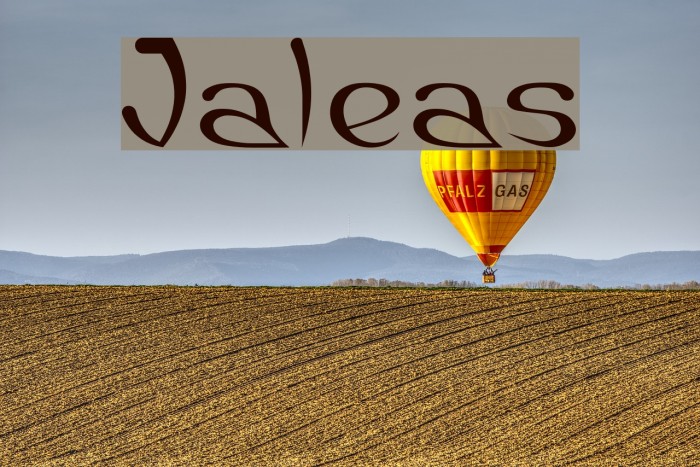 Jaleas Font examples