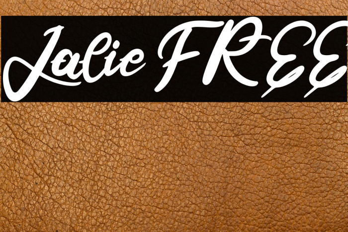 Jalie FREE Example 1