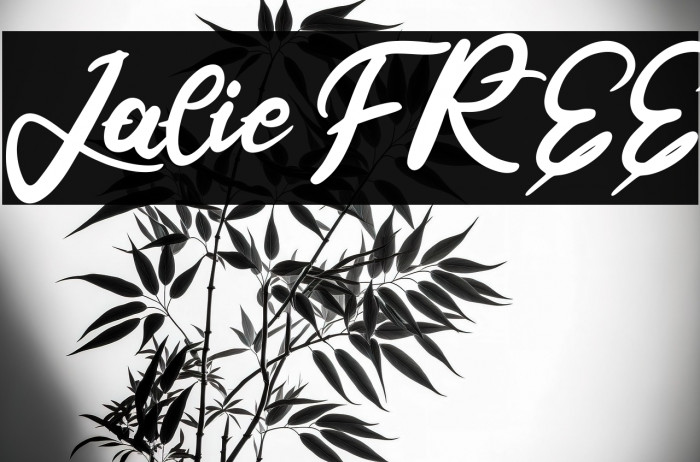 Jalie FREE Example 2