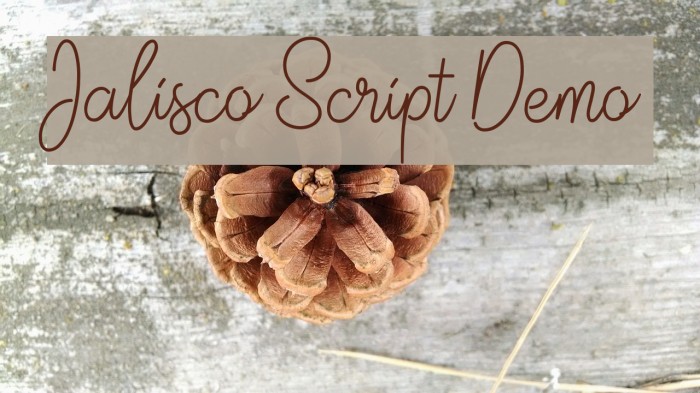 Jalisco Script Demo Font examples